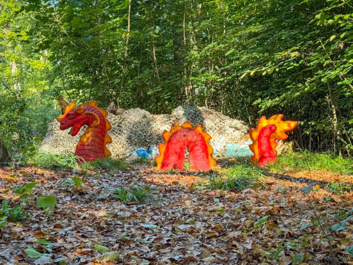Parcours-Foto 30