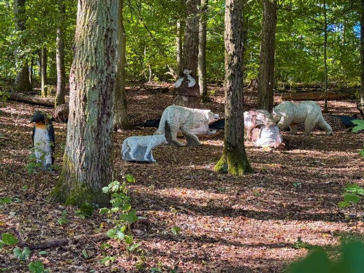 Parcours-Foto 45